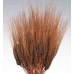 WHEAT Chocolate 30"-